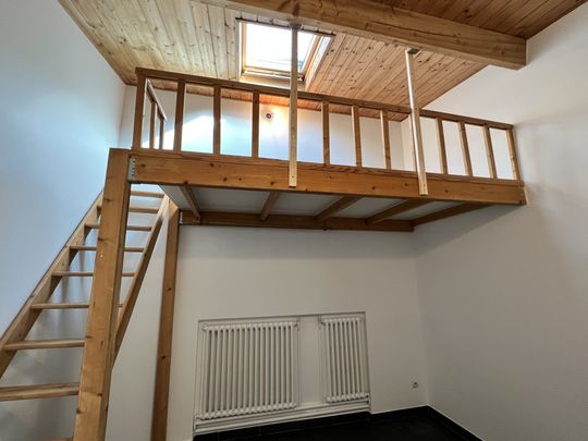 Location Appartement 1 pièce 21m² CHENNEVIERES SUR MARNE 94430 - Photo 1