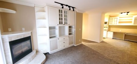 Private Entrance, Free Laundry & Cozy Fireplace, Cat Friendly!! - Photo 4