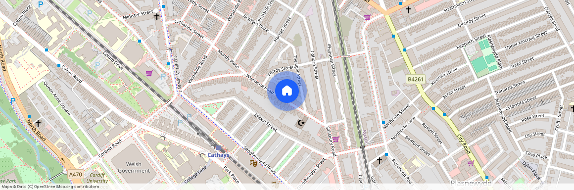 Wyeverne Road, CF24 4BH, Cathays