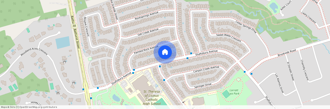 207 Shaftsbury Avenue Unit# basment, Richmond Hill