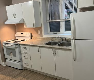 For Lease - 44 Regina Avenue Unit# BSMT 1, Toronto, Ontario - Photo 5