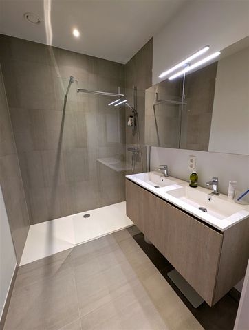 Haantjeslei 64, 2018, Antwerpen - Photo 5