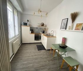 TRES JOLI T2 MEUBLÉ - AU COEUR DU CENTRE-VILLE - Photo 6