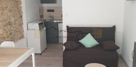 Location Appartement 1 pièce 16m² NIMES 30900 - Photo 2