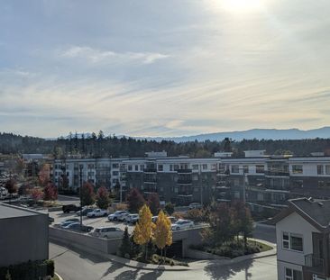 364 Moilliet Street South apartment — Parksville, BC (2-Bedroom) - ... - Photo 4