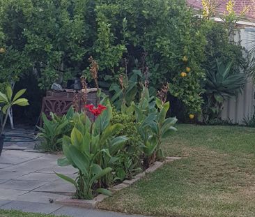 Rockingham - Photo 4