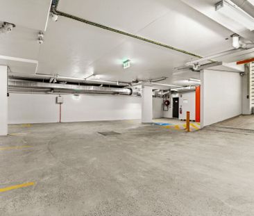 Self Contained Studios. UNIT 7 AVAILABLE! - Photo 3