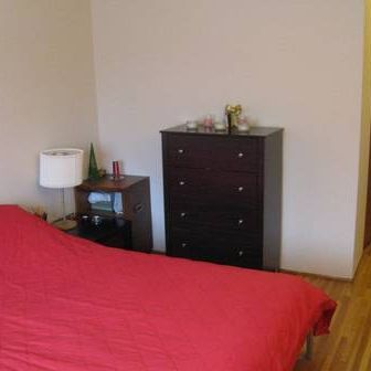 $1950 / 1br - 700ft² - Short-term furnished unit from March to April - Photo 4