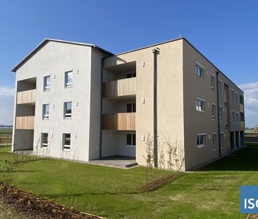 NEUBAU! 2-Zimmer-Mietkauf-Wohnung Top 4 im EG - bezugsfertig! - Photo 3