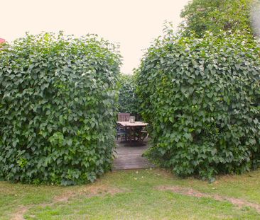 Järnvägsgatan 42 - Photo 4