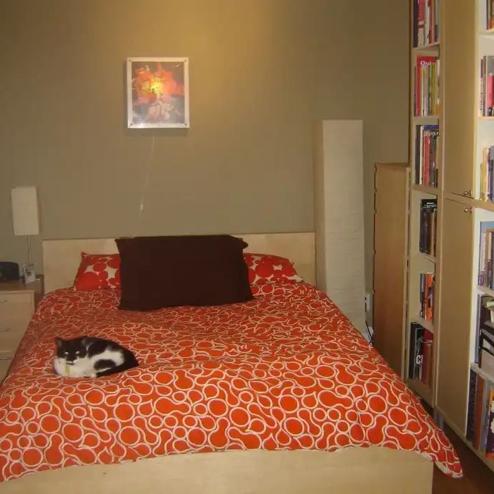 729 Cooper St. — 1 Bedroom - Photo 1