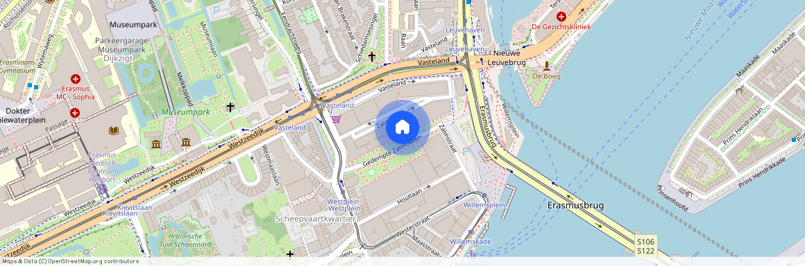 Stadsdriehoek, 3011 BT, Gedempte Zalmhaven, Rotterdam