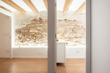 Carrer de la Reina Amàlia, Barcelona, Catalonia 08001 - Photo 2