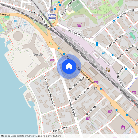 Avenue du Général-Guisan 61, 1800 - Vevey, Suisse