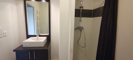 Location Appartement 2 pièces 39m² LAUNAGUET 31140 - Photo 2