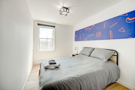 1415 Rue Plessis, Montréal (Ville-Marie), QC H2L - Photo 3