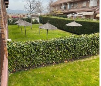 Dúplex de alquiler en Camino Real, Los Llanos - Valle Pardo - Photo 4