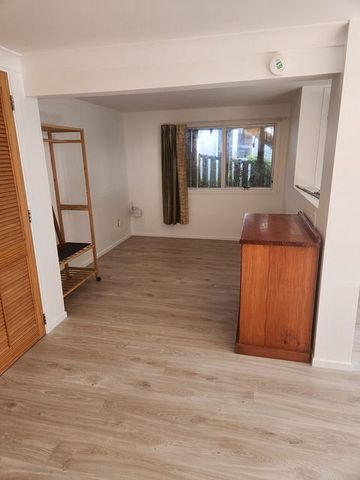 Downstairs self contained unit - Photo 3