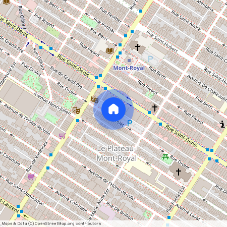 4419 Rue Drolet, Montréal (Le Plateau-Mont-Royal), H2W2L9