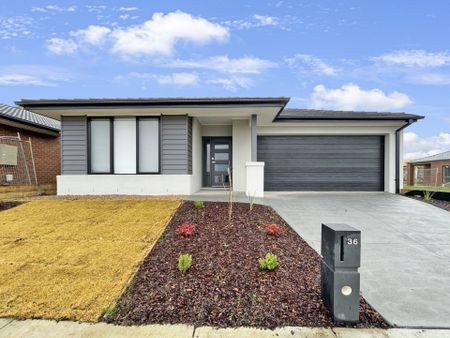 36 Cruz Road, Winter Valley - Photo 2