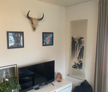 Hertig Knutsgatan, Halmstad - Foto 4