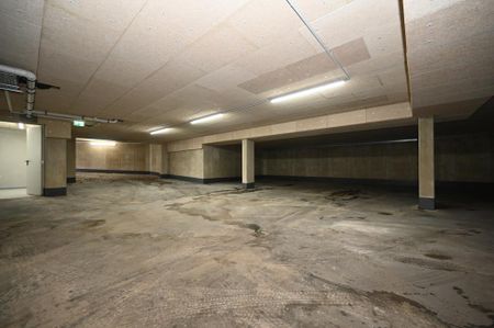 Ruhige, sonnige Garten-Wohnung kurzfristig einzugsbereit - Photo 3