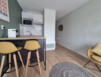 Location Appartement 1 pièces 20 m2 à Albi - Photo 1