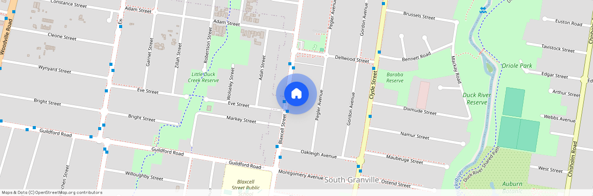 1/317 Blaxcell Street, NSW 2142, Granville