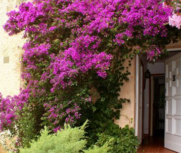 Villa jumelée proche mer, 3 pièces, (4 couchages), grande terrasse,... - Photo 6