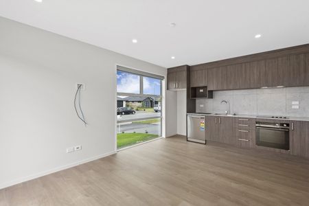 Brand new, premium 2-Bedroom Home in Belfast - Photo 5