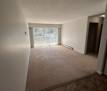 AVINLEA COURT 1BD / 1BA - Photo 4