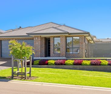 152 Radford Street, Cliftleigh, NSW 2321 - Photo 1