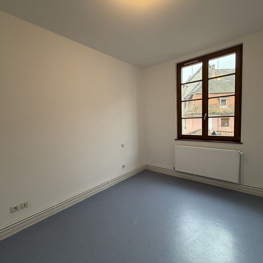 Location Appartement 3 pièces 64m² SELESTAT 67600 - Photo 1