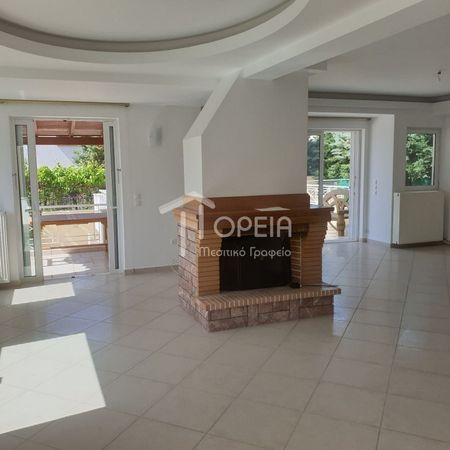 Βίλλα 350 τ.μ. προς ενοικίαση - Photo 5