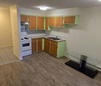 Newly Renovated-2Br1Ba Apartment Squamish Downtown - Photo 3