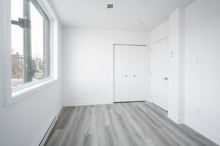 Condo for rent, Montréal (Rosemont/La Petite-Patrie) - Photo 3