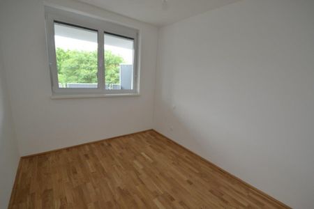 Annenviertel – 41 m² – 2 Zimmer-Wohnung – Studenten oder Singlewohnung - Foto 3