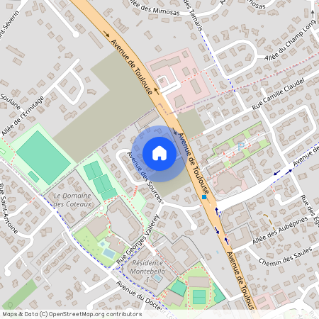 58 Avenue de Toulouse, 31320, Castanet Tolosan