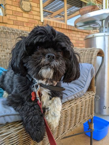 Lysterfield - Photo 5