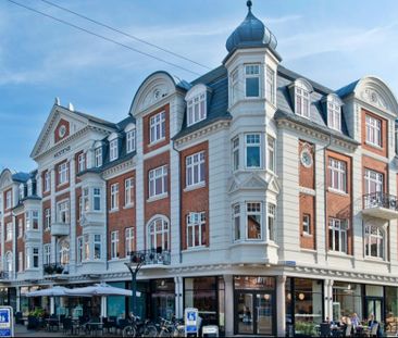 Stor herskabslejlighed i centrum - Photo 6