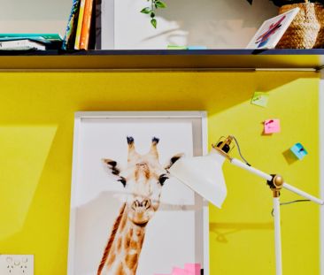 Twin Apartment-Single Bed with Standard View - Photo 6