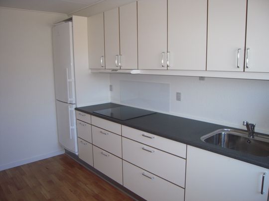 Højlundsvej 154, 7800, Skive - Foto 1