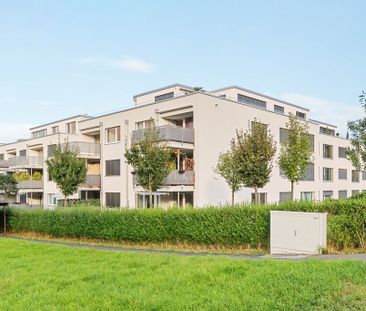 3.5 Zimmer, 99 m², EG - Foto 1