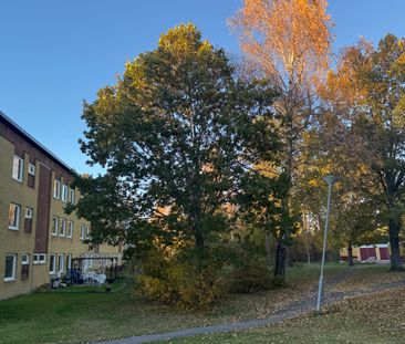 Dunderbacksvägen, Finspång - Photo 3