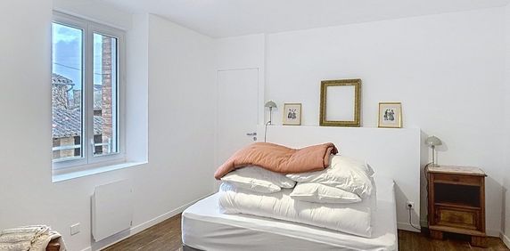 Location Appartement 1 pièce 38m² GAILLAC 81600 - Photo 2