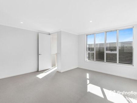 Don't Be Jelly!! - Photo 2