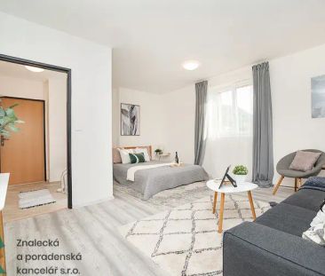 Pronájem bytu 1+kk, Ústí nad Labem - Střekov - Photo 3
