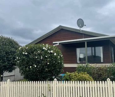 237A PORT ROAD, WHANGAMATA - Photo 4