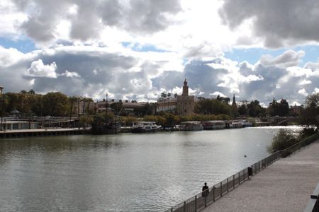 Sevilla, Andalusia 41010 - Foto 5