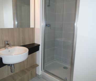 Location Appartement 1 pièce 20m² LYON 7ème - Photo 4
